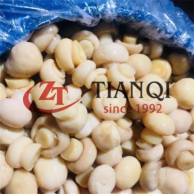 50kg Tag Nrho Brined Champignon Mushroom