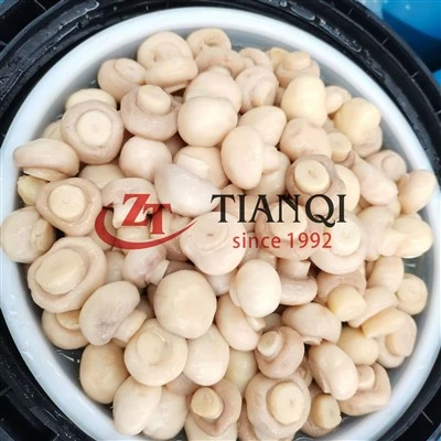 Slice Mushroom hauv Conserve - Cov lag luam wholesale ntau rau kev ua zaub mov