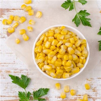 High Quality Can Sweet Corn Kernel